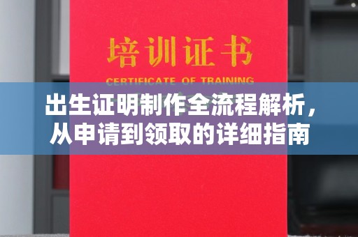 郓城出生证明制作全流程解析，从申请到领取的详细指南